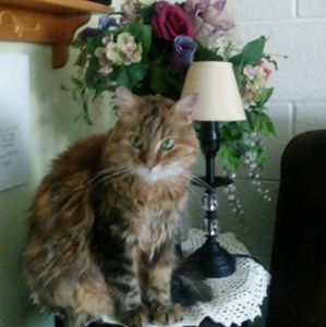 Meet your Posher, Penny